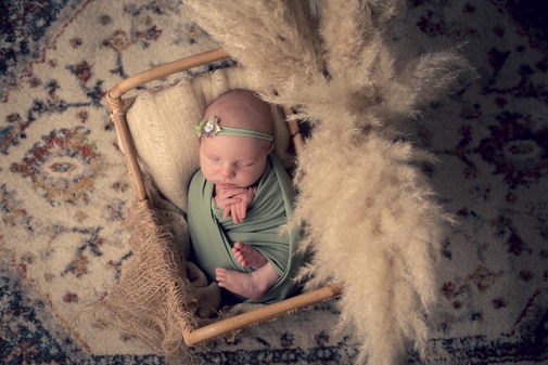 bébé lit pampa