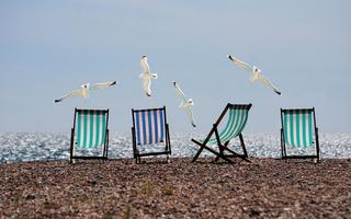 concours photo stéphanie passion