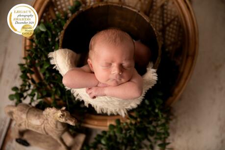 stephanie passion photos