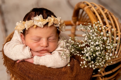 stephanie passion photos