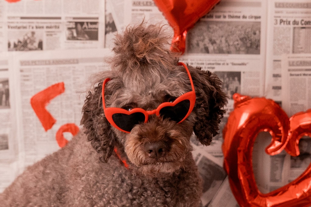 stephanie passion photos